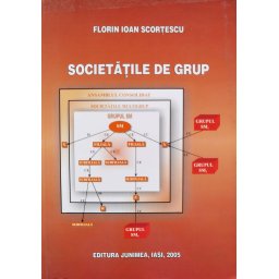 Societatile De Grup - Florin Ioan Scortescu