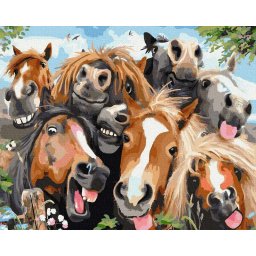 Set pictura pe numere, cu sasiu, Poza cu prieteni, 40x50 cm