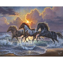 Set pictura pe numere, cu sasiu, Galop la mare, 40x50 cm