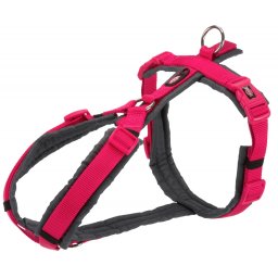 Ham Premium Trekking, M: 53-64 cm 20 mm, Fucsia Gri Grafit, 1997211