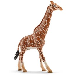 Schleich 14749 - Figurina Girafa Mascul