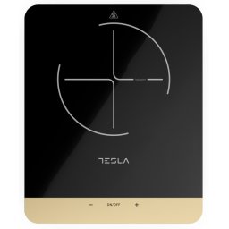 Tesla IC401B