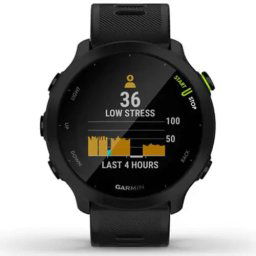 Ceas Smartwatch Garmin Forerunner 55, Black