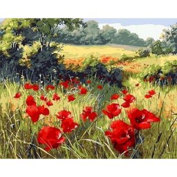 Set pictura pe numere, cu sasiu, Camp de maci, 40x50 cm