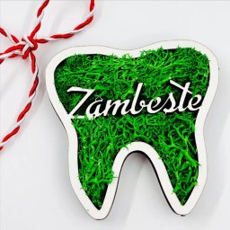 Martisor Dinte Dentist Stomatolog accesorizat cu licheni verzi
