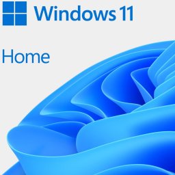 Sistem de operare ESD Windows HOME 11 64-bit All Languages Online Product Key License 1 License Downloadable ESD NR