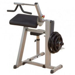 Aparat pentru Biceps Triceps Body Solid GCBT-380