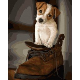 Set pictura pe numere, cu sasiu, Catelul incaltat, 40x50 cm