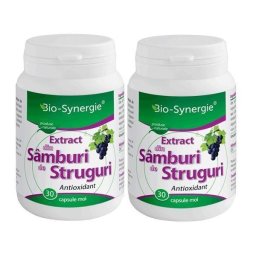 Extract din Samburi de Struguri 340mg 2x30 cps