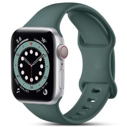 Curea silicon Hoco compatibila cu Apple Watch 1/2/3/4/5/6/SE/, 38/40/41mm, Verde Pin