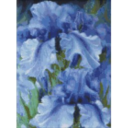 Set goblen cu diamante, cu sasiu, Irisi, 30x40 cm