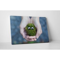 Tablou canvas : Monstrulet verde