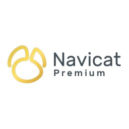 Navicat Premium Enterprise Abonament lunar
