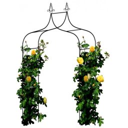 Pergola de gradina, arcada metalica ascutita, 150x37x240 cm