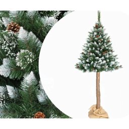 Brad de Craciun artificial cu conuri si varfuri albe, trunchi inalt, 220cm(Brazi)