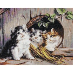 Set goblen de cusut, cu diagrama, Adapost prietenos 22,5x18 cm