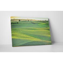 Tablou canvas : Campul verde