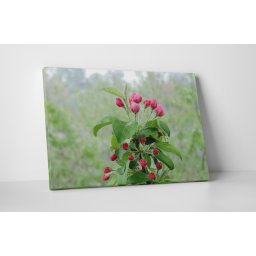 Tablou canvas : Mar verde