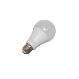 Bec LED E27 15W