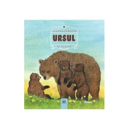 URSUL- Animale salbatice în natura