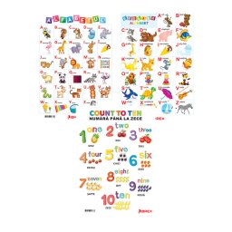 Pachet Planse Educationale Romana Engleza