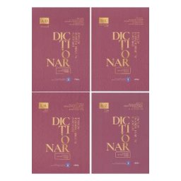 Dictionar explicativ al limbii romane actuale cu sinonime, antonime, paronime, exemple. Set 4 volume - Ana Vulpe