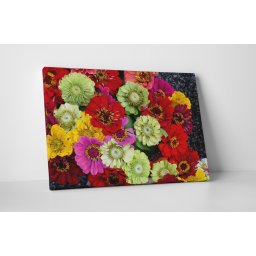 Tablou canvas : Buchet de flori colorate