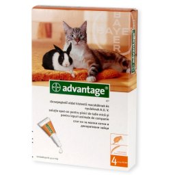 1x Advantage cat <4kg pipeta antiparazitara pisici