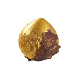 Aluna Nuca Cocos 3D, O5.4xH6 cm - Forma Silicon Monoportii golet, 8 cavitati