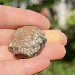 Chihlimbar din Indonezia, cristal natural unicat, A23