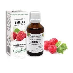 Extract din mladite de Zmeur, 50 ml, PlantExtrakt