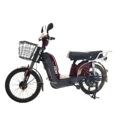 Scuter electric RDB Dunărea 450W, 2022 ( DUNAREA )