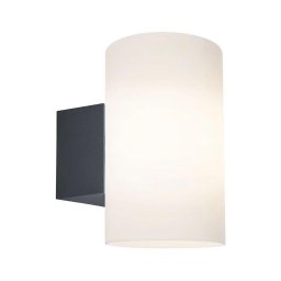 Aplică de exterior 1xE27/15W IP54 TUBE 230V Paulmann 94186