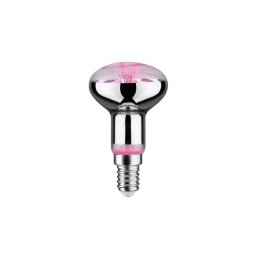 Bec LED pentru creșterea plantelor GROW GREEN R50 E14/4W/230V Paulmann 28734