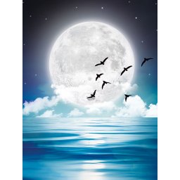 Set goblen cu diamante, cu sasiu, Sub clar de luna, 30x40 cm