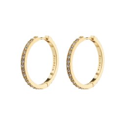 Pilgrim Cercei 'Ebna' auriu / transparent