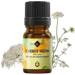 Ulei Morcov Salbatic Seminte 5ml Ellemental