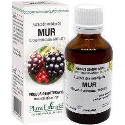 Extract Gemoterapic Mur Mladite 50ml Plant Extrakt