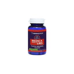 Branca Marelui Urs 60cps Herbagetica