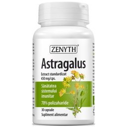 Zenyth Pharmaceuticals Astragalus 30 cps