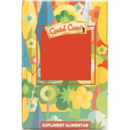 Ceai Anason Fructe 50g Ceaiul Casei
