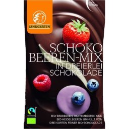Fructe Padure Mix Ciocolata Eco 50g Landgarten