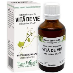 Extract Gemoterapic din muguri de Vita de Vie 50ml PlantExtrakt