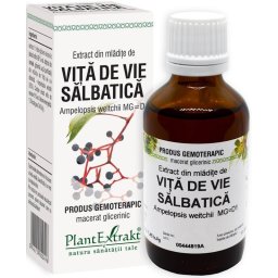 Extract Gemoterapic din mladite de Vita de Vie Salbatica 50ml PlantExtrakt