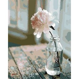 Set pictura pe numere, cu sasiu, Floare alba, 40x50 cm