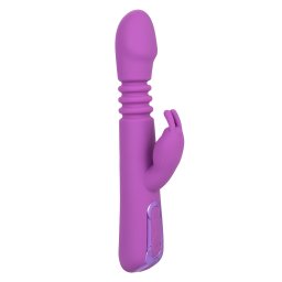 California Exotics Elite Thrusting Rabbit Purple