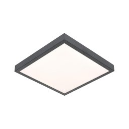 Plafonieră LED VITALI LED/24W/230V