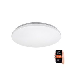 Rabalux 71035 - Plafonier LED RGB dimabil CERRIGEN LED/24W/230V