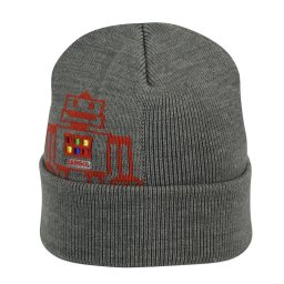 Caciula Kangol Robot Gri