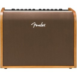 Fender Acoustic 100